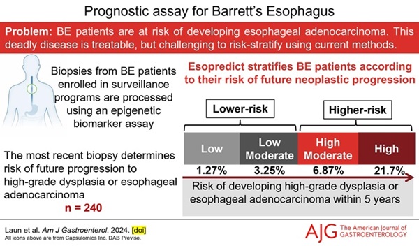 Image: Graphic indicates risk of patients with Barrett’s esophagus progressing to develop esophageal cancers in the study (Photo courtesy of Sarah Laun/American Journal of Gastroenterology)